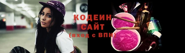 соль ск Арсеньев