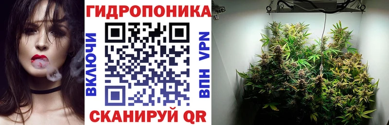 наркошоп Истра hydra вход Конопля VHQ